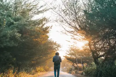 Person walking down a sunlit tree-lined road, suggesting a new career path
